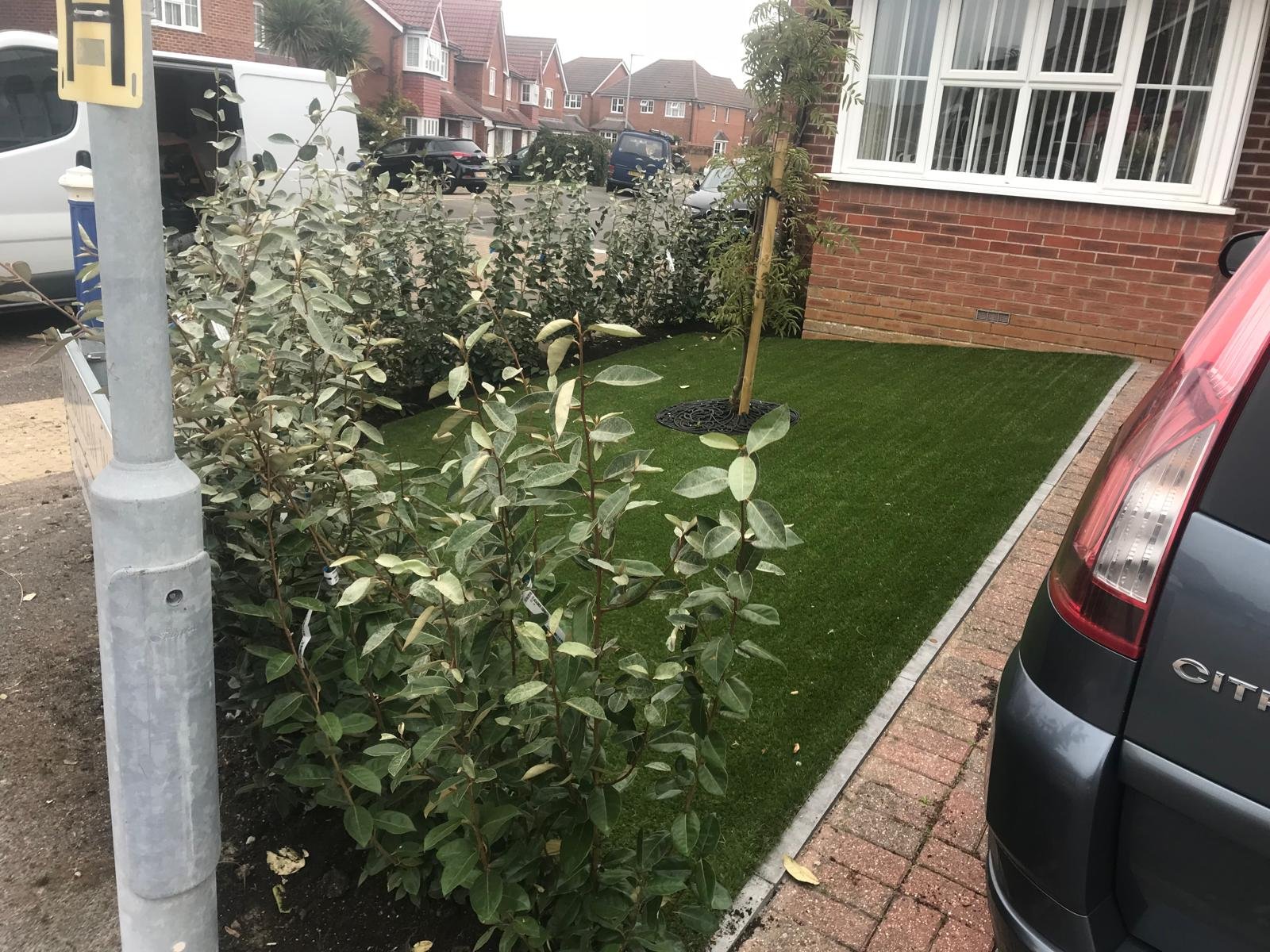 Small front garden with turf strip and shrubs beside parked cars